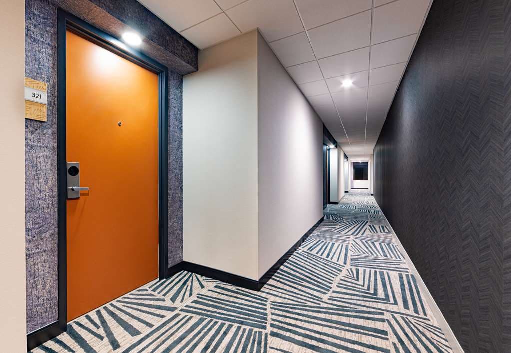 (test) France Alaska