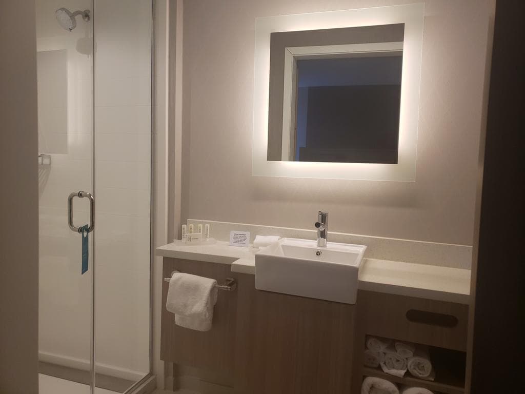 SpringHill Suites by Marriott Detroit Wixom