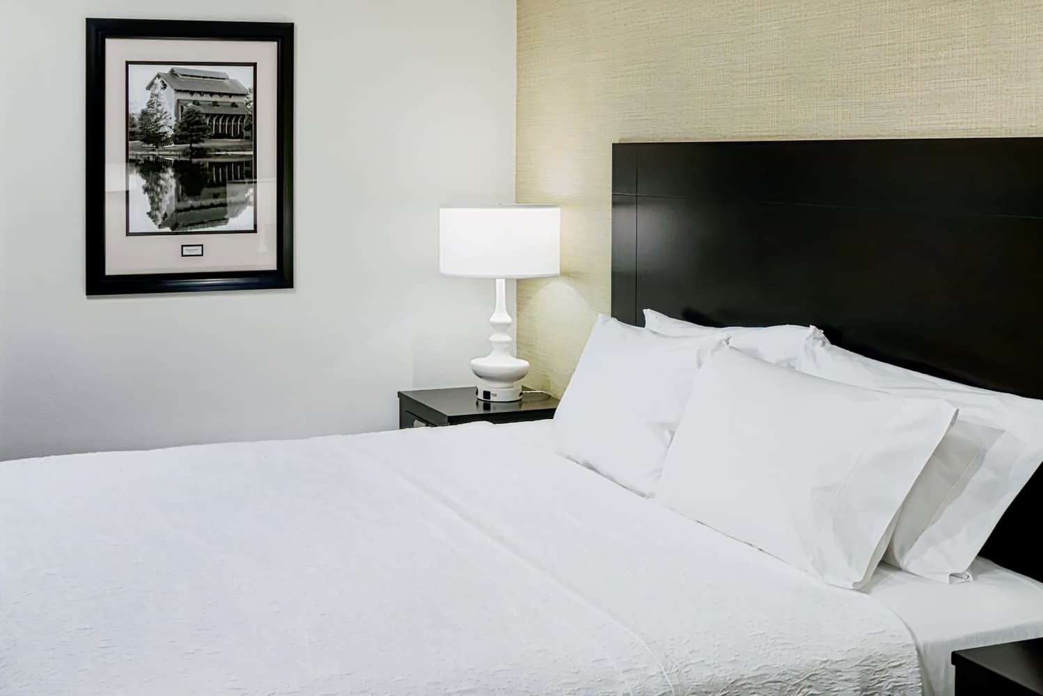 Hampton Inn Suites - Gainesville Downtown