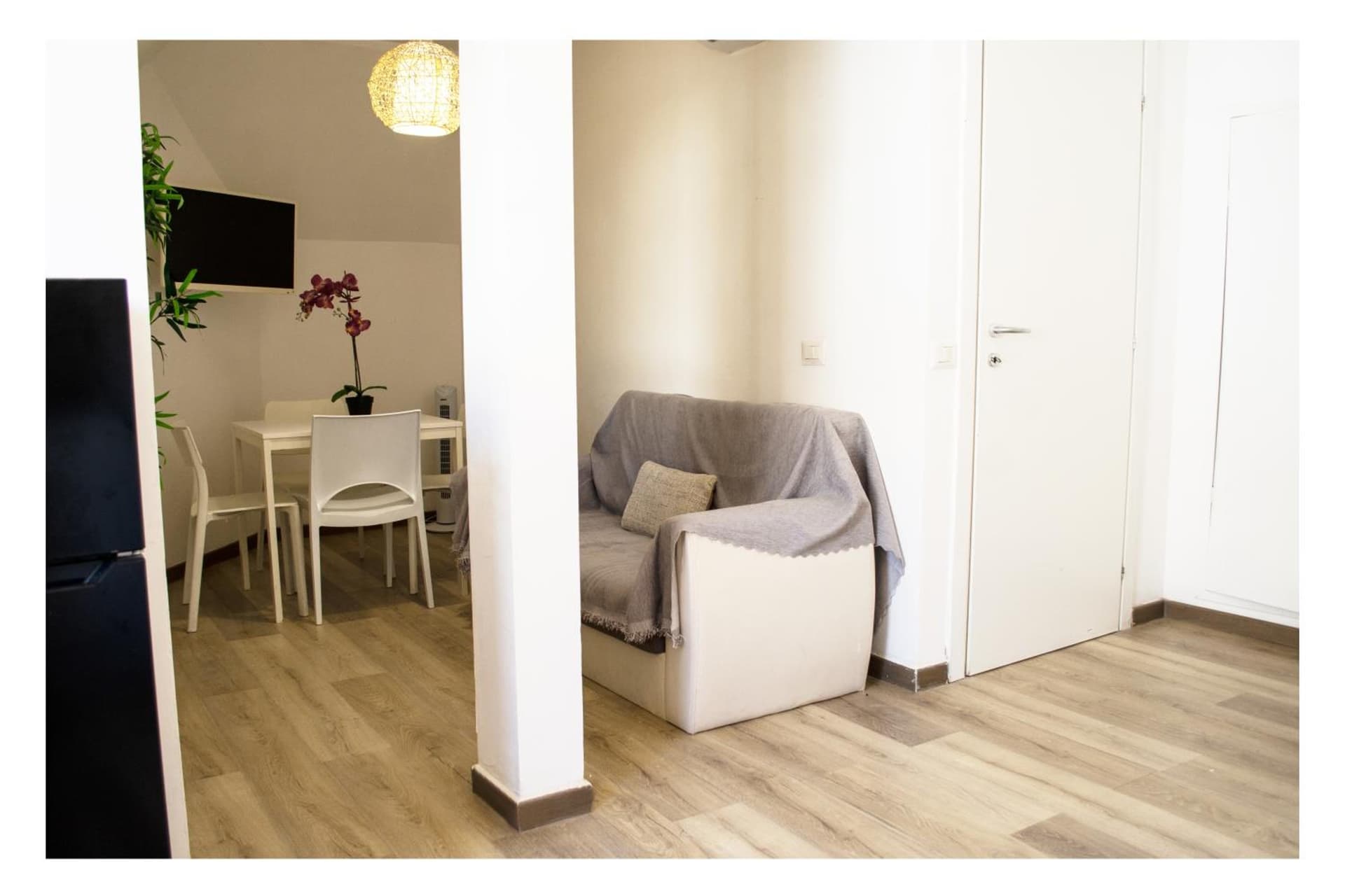 Ostia Holiday Collection