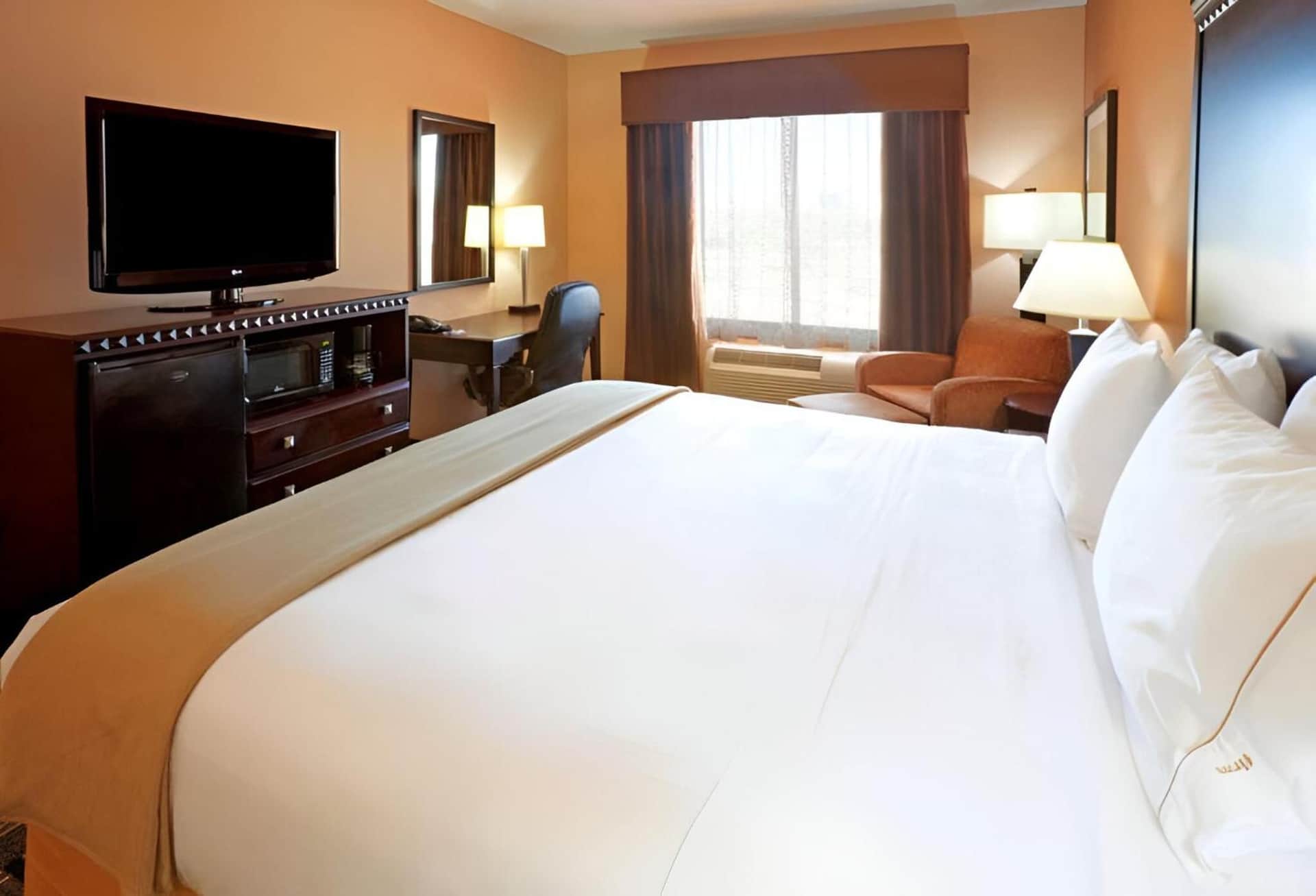 Comfort Inn & Suites Dallas Medical-Market Center